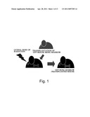 Pharmaceutical Agent for Promoting the Functional Regeneration of Damaged Tissue diagram and image