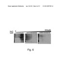 Pharmaceutical Agent for Promoting the Functional Regeneration of Damaged Tissue diagram and image