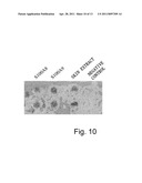 Pharmaceutical Agent for Promoting the Functional Regeneration of Damaged Tissue diagram and image