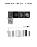 ANTI-AGING OR ANTIOXIDANT COMPOSITION CONTAINING PLANT STEM CELL LINE DERIVED FROM CAMBIUM OF PANAX GINSENG diagram and image