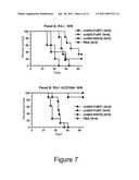 Her2/neu-Specific Antibodies and Methods of Using Same diagram and image