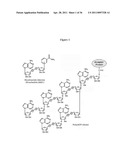 METHODS AND COMPOSITIONS FOR INCREASING THE ACTIVITY OF INHIBITORY RNA diagram and image