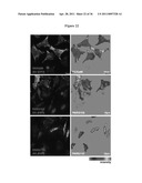 METHODS AND COMPOSITIONS FOR INCREASING THE ACTIVITY OF INHIBITORY RNA diagram and image