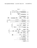 COMPOSITIONS AND METHODS FOR TREATING CANCER AND MODULATING STRESS GRANULE FORMATION diagram and image