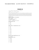 Novel Gene Disruptions, Compostitions and Methods Relating Thereto diagram and image