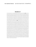 Novel Gene Disruptions, Compostitions and Methods Relating Thereto diagram and image