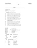 Novel Gene Disruptions, Compostitions and Methods Relating Thereto diagram and image