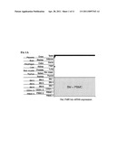 DIAGNOSIS AND THERAPY OF HEMATOLOGICAL MALIGNANCIES diagram and image