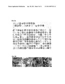 DIAGNOSIS AND THERAPY OF HEMATOLOGICAL MALIGNANCIES diagram and image