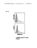 DIAGNOSIS AND THERAPY OF HEMATOLOGICAL MALIGNANCIES diagram and image