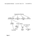 PARTICULATE DRUG CARRIERS AS DESENSITIZING AGENTS diagram and image