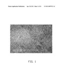 CARBON NANOTUBE COMPOSITE, METHOD FOR MAKING THE SAME, AND ELECTROCHEMICAL CAPACITOR USING THE SAME diagram and image