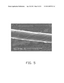 CARBON NANOTUBE COMPOSITE, METHOD FOR MAKING THE SAME, AND ELECTROCHEMICAL CAPACITOR USING THE SAME diagram and image