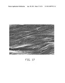 CARBON NANOTUBE COMPOSITE, METHOD FOR MAKING THE SAME, AND ELECTROCHEMICAL CAPACITOR USING THE SAME diagram and image