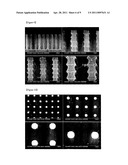 ORGANIC/INORGANIC COMPOSITE COMPRISING THREE-DIMENSIONAL CARBON NANOTUBE NETWORKS, METHOD FOR PREPARING THE ORGANIC/INORGANIC COMPOSITE AND ELECTRONIC DEVICE USING THE ORGANIC/INORGANIC COMPOSITE diagram and image