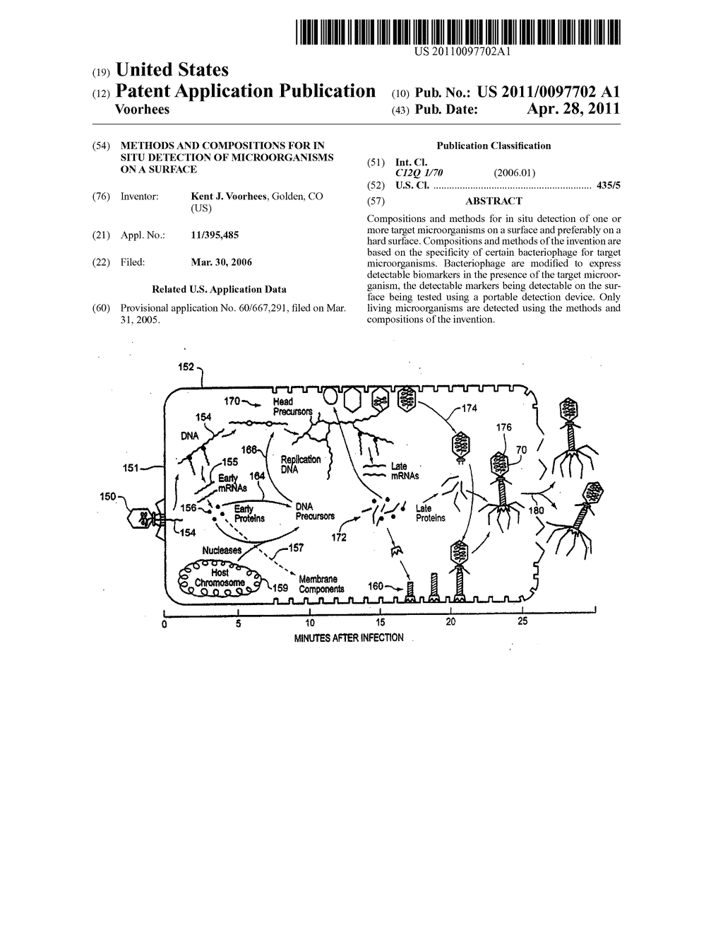 Methods and compositions for in situ detection of microorganisms on a surface - diagram, schematic, and image 01