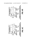 Compositions and methods for pharmacogenomic screening of CYP2C9 and VKORC1 diagram and image