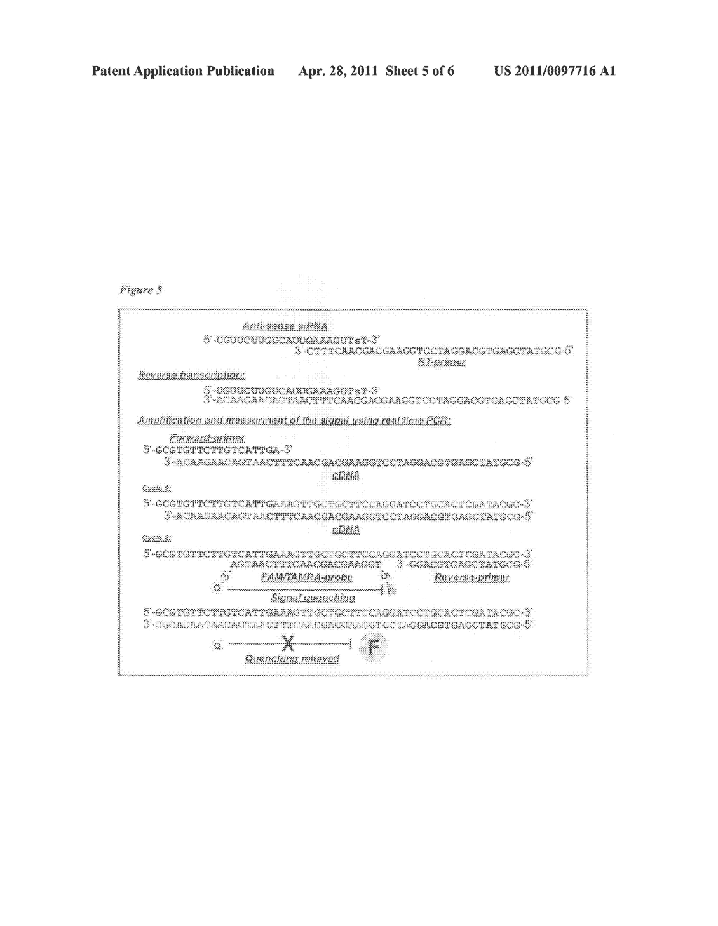 Methods for Detecting Oligonucleotides - diagram, schematic, and image 06