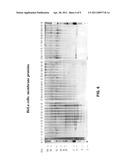 MS-COMPATIBLE NONIONIC OR ZWITTERIONIC SURFACTANTS IN FREE-FLOW ELECTROPHORESIS diagram and image