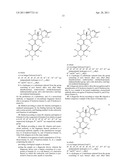 PROCESS FOR THE PRODUCTION OF A HYBRIDOMA AND ANTIBODY OBTAINED THEREFROM, ABLE TO RECOGNIZE MORE THAN ONE VITAMIN D METABOLITE diagram and image