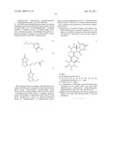 PROCESS FOR THE PRODUCTION OF A HYBRIDOMA AND ANTIBODY OBTAINED THEREFROM, ABLE TO RECOGNIZE MORE THAN ONE VITAMIN D METABOLITE diagram and image