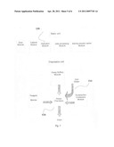 Method For Detecting Microbes diagram and image