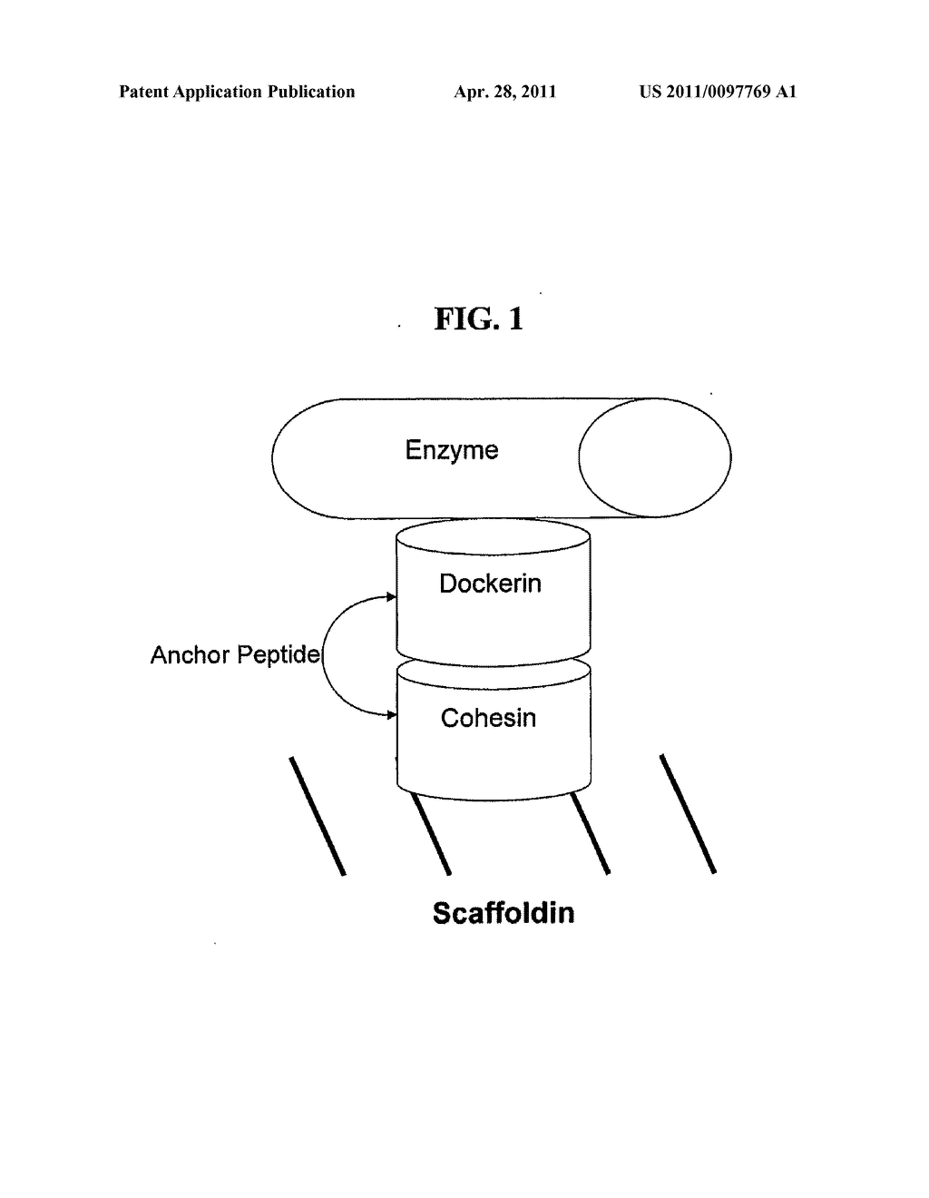 MODIFIED MICROORGANISM USES THEREFOR - diagram, schematic, and image 02