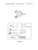 Modular Functional Peptides for the Intracellular Delivery of Nanoparticles diagram and image