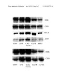 MAMMALIAN CELL EXPRESSION VECTORS AND UTILIZATION diagram and image