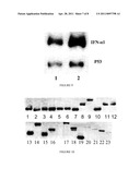 MAMMALIAN CELL EXPRESSION VECTORS AND UTILIZATION diagram and image