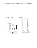 SIRT4 ACTIVITIES diagram and image