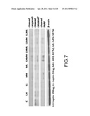 System for Curing Hepatic Cancer with Leptin diagram and image