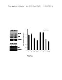 System for Curing Hepatic Cancer with Leptin diagram and image