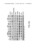 System for Curing Hepatic Cancer with Leptin diagram and image