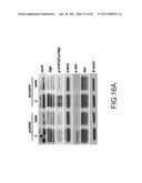 System for Curing Hepatic Cancer with Leptin diagram and image