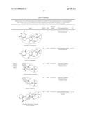 ELUCIDATING LIGAND-BINDING INFORMATION BASED ON PROTEIN TEMPLATES diagram and image