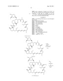 RAPAMYCIN ANALOGS AS ANTI-CANCER AGENTS diagram and image