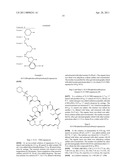 RAPAMYCIN ANALOGS AS ANTI-CANCER AGENTS diagram and image