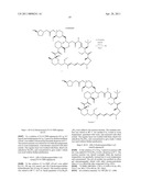 RAPAMYCIN ANALOGS AS ANTI-CANCER AGENTS diagram and image