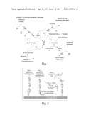 Aptamers to Tissue Factor Pathway Inhibitor and Their Use as Bleeding Disorder Therapeutics diagram and image