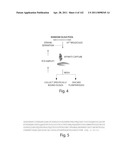 Aptamers to Tissue Factor Pathway Inhibitor and Their Use as Bleeding Disorder Therapeutics diagram and image