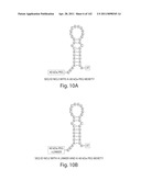 Aptamers to Tissue Factor Pathway Inhibitor and Their Use as Bleeding Disorder Therapeutics diagram and image