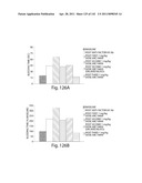 Aptamers to Tissue Factor Pathway Inhibitor and Their Use as Bleeding Disorder Therapeutics diagram and image