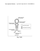 Aptamers to Tissue Factor Pathway Inhibitor and Their Use as Bleeding Disorder Therapeutics diagram and image