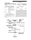 Novel RNA Interference Methods Using DNA-RNA Duplex Constructs diagram and image