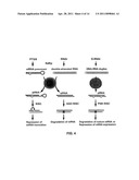 Novel RNA Interference Methods Using DNA-RNA Duplex Constructs diagram and image