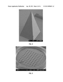 DISSOLVABLE MICRONEEDLE ARRAYS FOR TRANSDERMAL DELIVERY TO HUMAN SKIN diagram and image