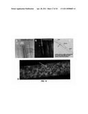 METHODS FOR PRODUCTION AND USE OF SUBSTANCE-LOADED ERYTHROCYTES (S-IEs) FOR OBSERVATION AND TREATMENT OF MICROVASCULAR HEMODYNAMICS diagram and image