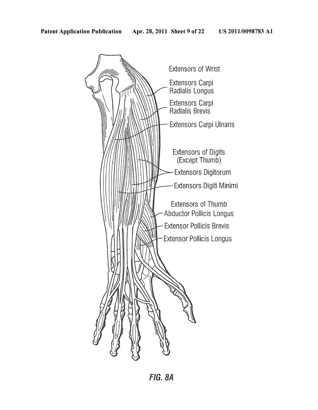 METHOD AND SYSTEM TO REGULATE ARMS, LEGS, HANDS AND OTHER SKELETAL MUSCLES BY NEURO-ELECTRICAL CODED SIGNALS - diagram, schematic, and image 10