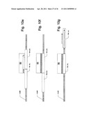 Synchronized Express and Local Trains for Urban Commuter Rail Systems diagram and image